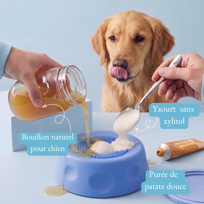 Bol Zen pour Chien — PatteDouce