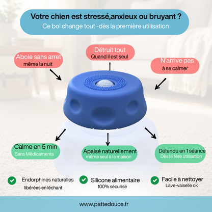 Bol Zen pour Chien — PatteDouce